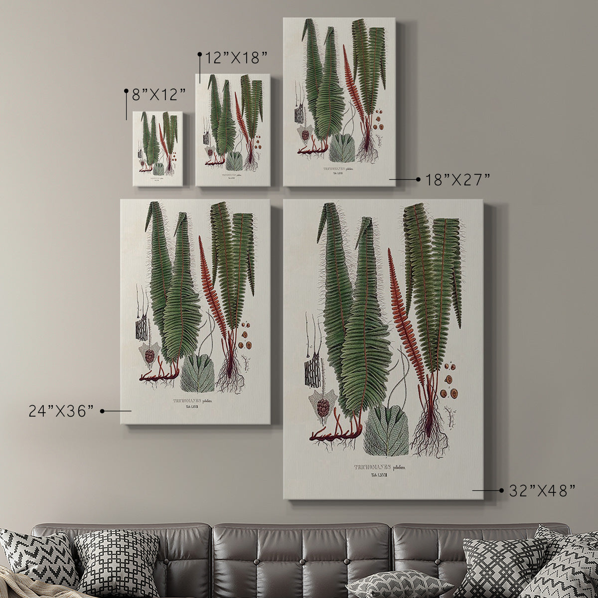 Botanical Society Ferns IV Premium Gallery Wrapped Canvas - Ready to Hang