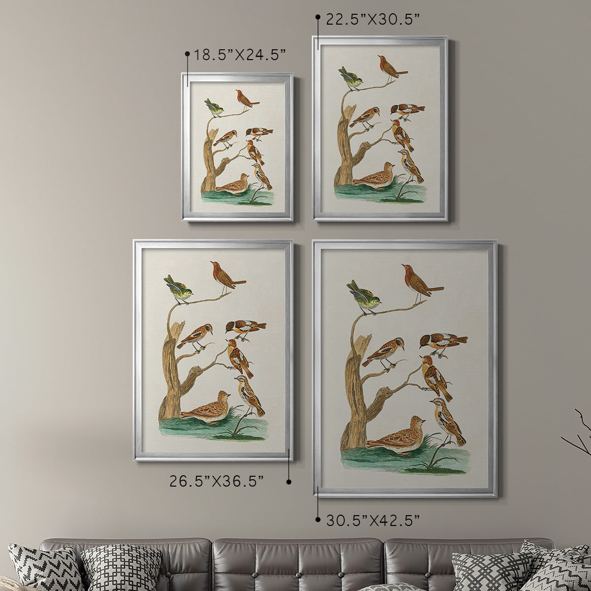 Antique Birds in Nature III - Modern Framed Canvas Print