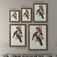 Elegant Trogons V - Premium Framed Canvas 2 Piece Set - Ready to Hang