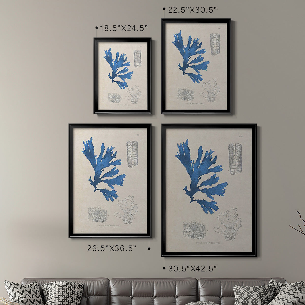 Blue Marine Algae VIII - Modern Framed Canvas Print