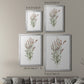 Dainty Botanical II - Modern Framed Canvas Print