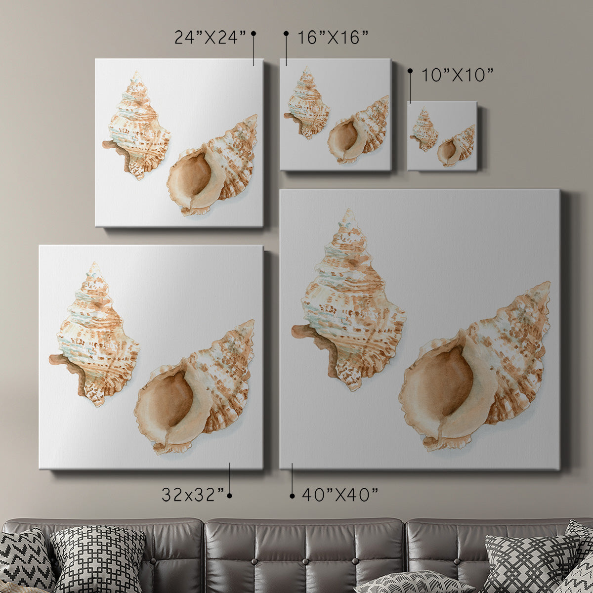 Watercolor Shells VII-Premium Gallery Wrapped Canvas - Ready to Hang