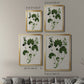 Forest Foliage on Linen IV - Modern Framed Canvas Print