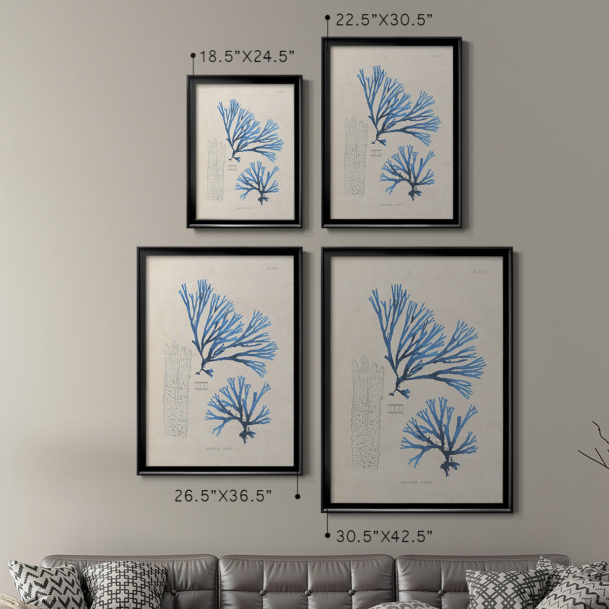 Blue Marine Algae V - Modern Framed Canvas Print