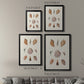Knorr Shells & Coral VI - Modern Framed Canvas Print