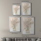 Delicate Arrangement I - Modern Framed Canvas Print