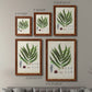Size comparison chart for a set of two maple barnwood framed canvas prints.