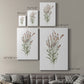 Dainty Botanical II - Canvas Art Print