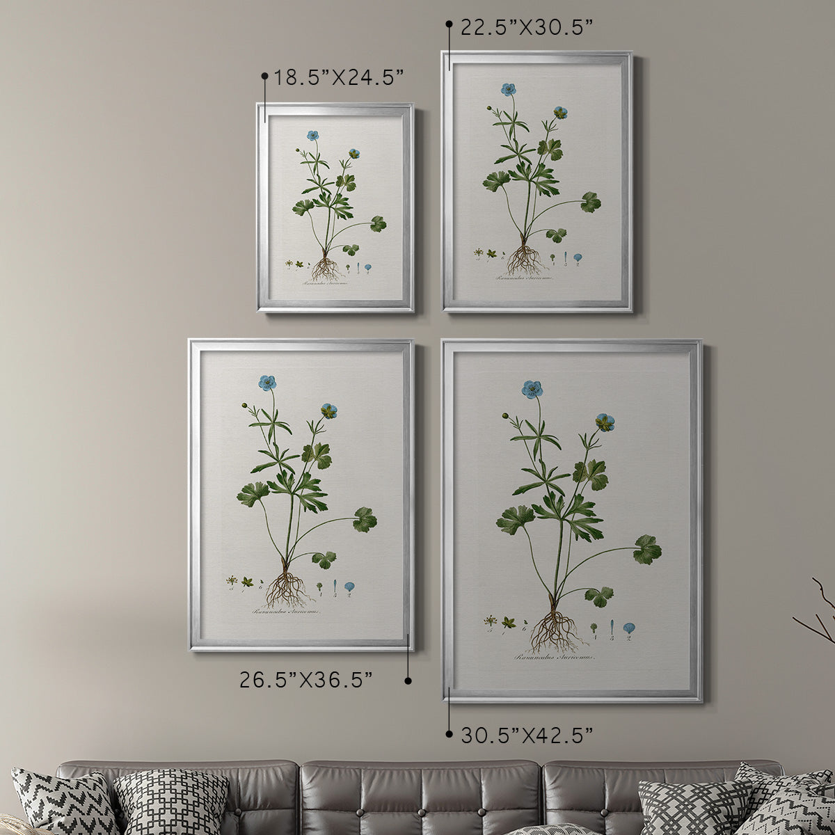 Buttercup Study - Modern Framed Canvas Print