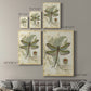 Regal Dragonfly I (PP)  - Canvas Art Print