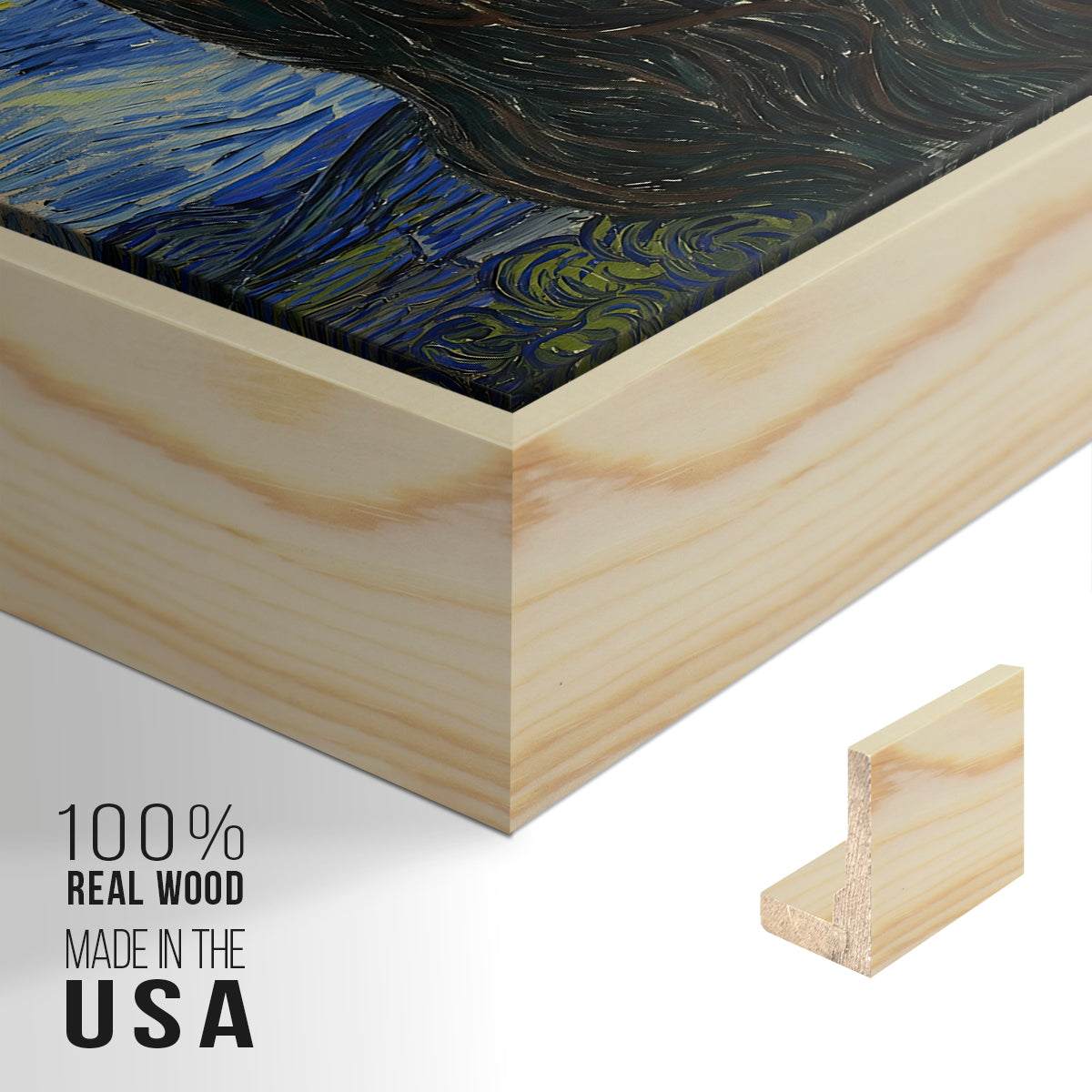 The Starry Night, 1889 - Floater Framed Canvas Print