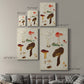 Mushroom Species XI - Canvas Art Print