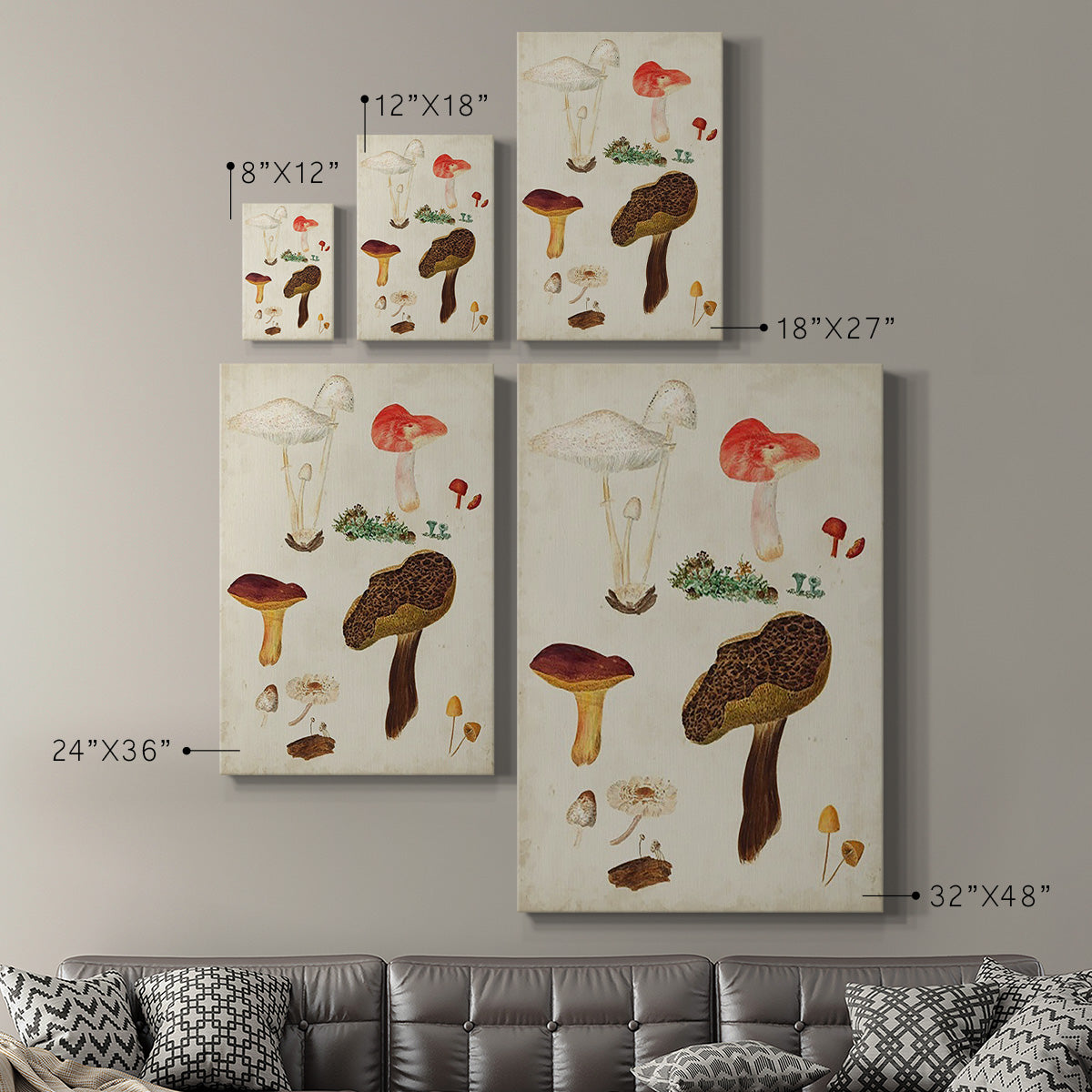 Mushroom Species XI - Canvas Art Print