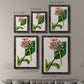 Antique Floral Folio III - Premium Framed Canvas 2 Piece Set - Ready to Hang