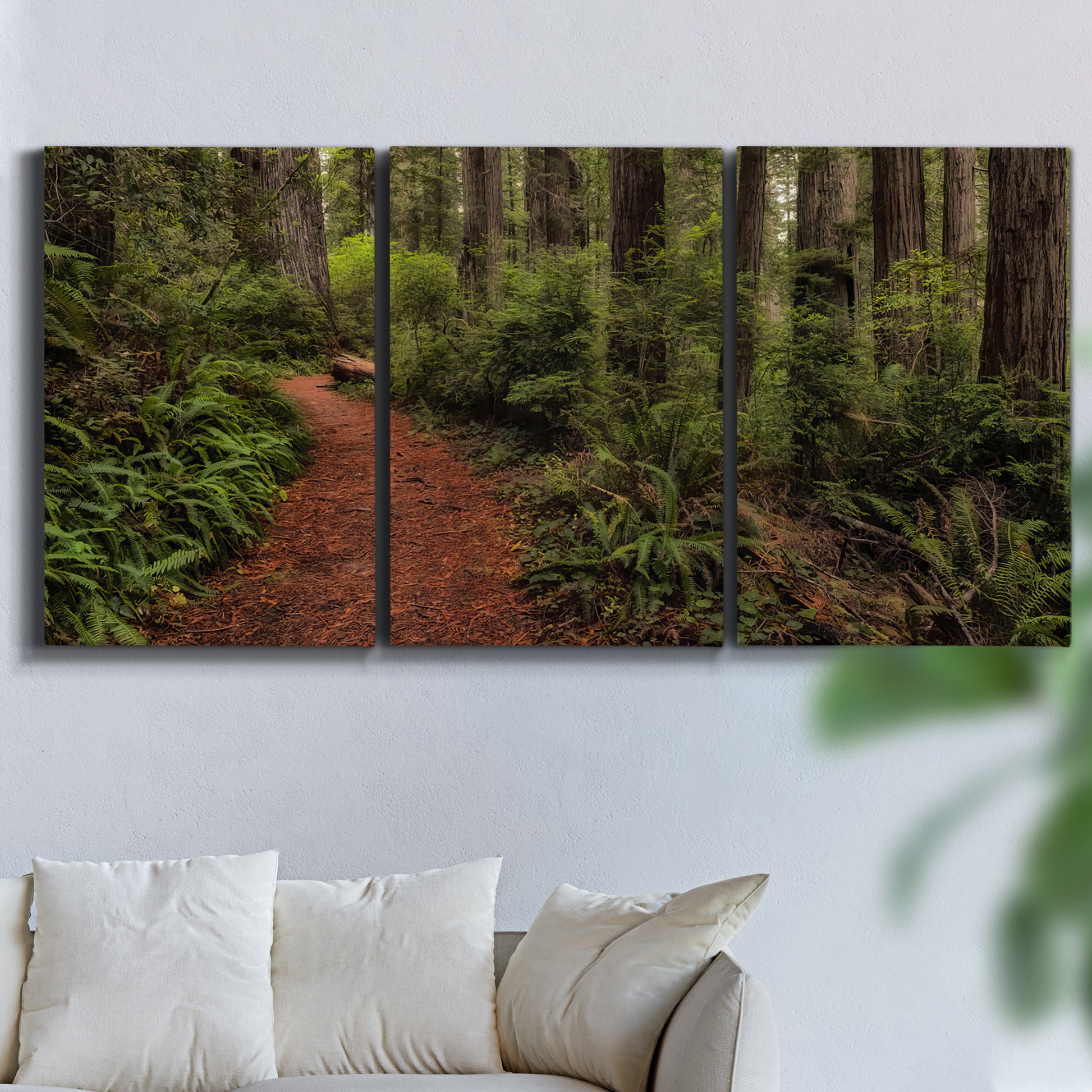 Three-panel canvas wall art featuring forest trail landscape photograph, displayed in a living room above a sofa.