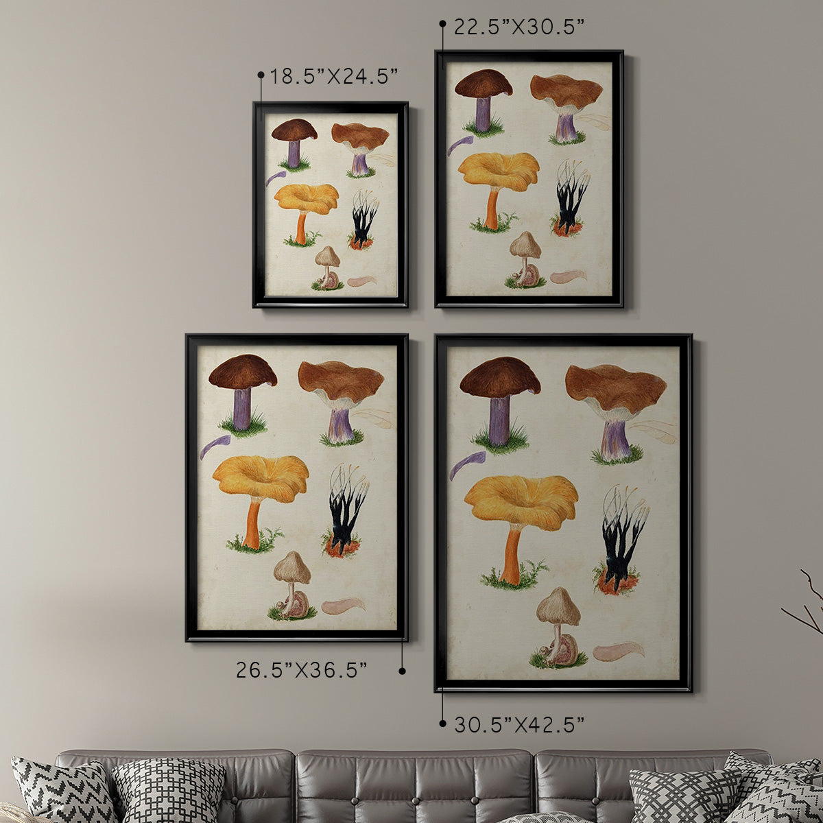 Mushroom Species VII - Modern Framed Canvas Print
