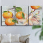 Three-panel canvas wall art featuring bright tangerine still life blossoms, displayed in a living room above a sofa.