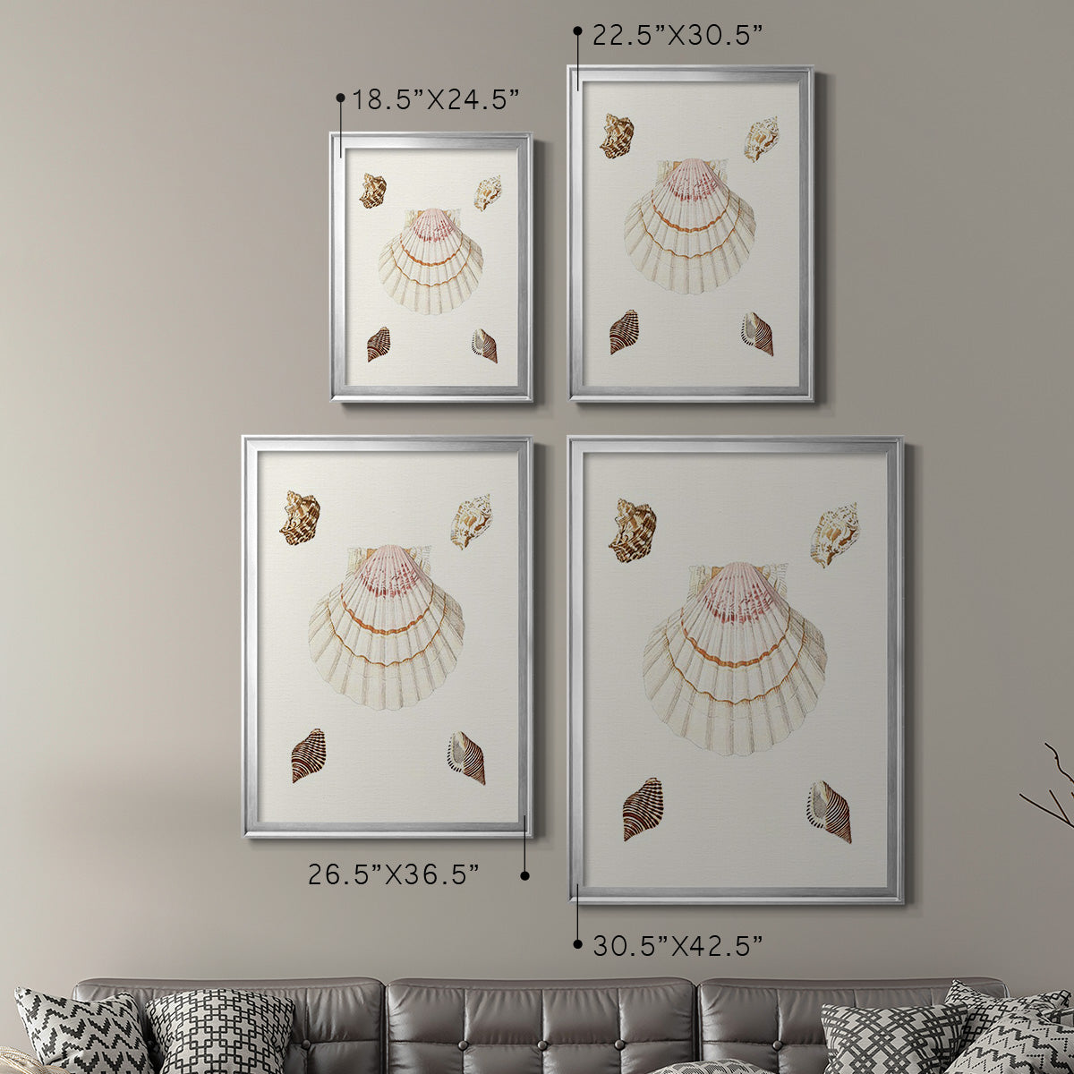 Pastel Knorr Shells IV - Modern Framed Canvas Print