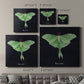 Luna Moth I - Canvas Art Print