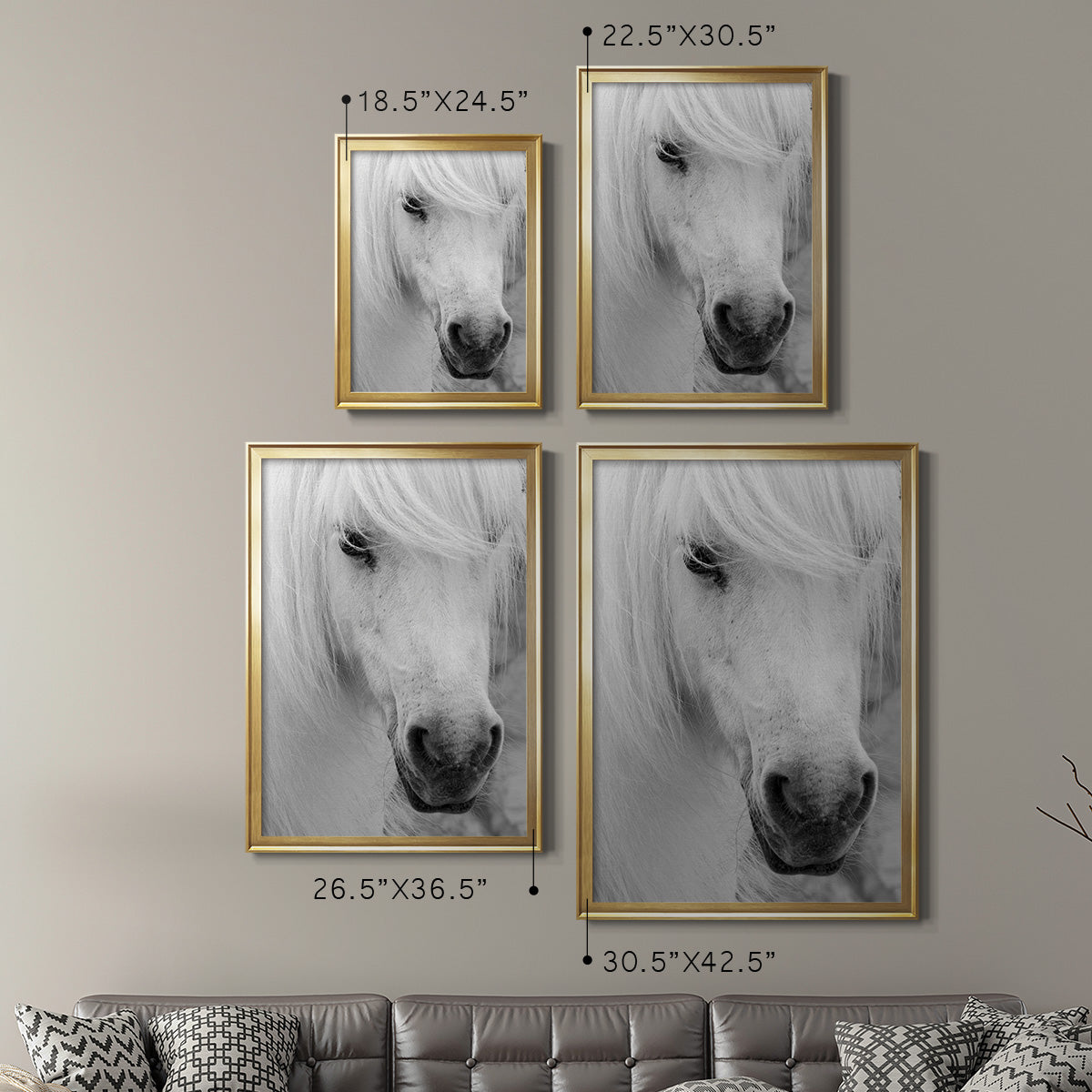 Island Pony I - Modern Framed Canvas Print