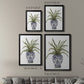 Fern House I - Modern Framed Canvas Print