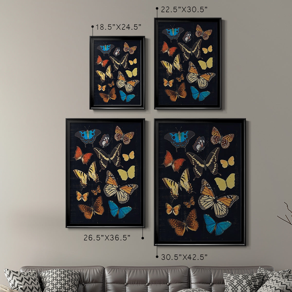 Collected Flutter IV - Modern Framed Canvas Print