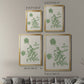 Vintage Garden II - Modern Framed Canvas Print