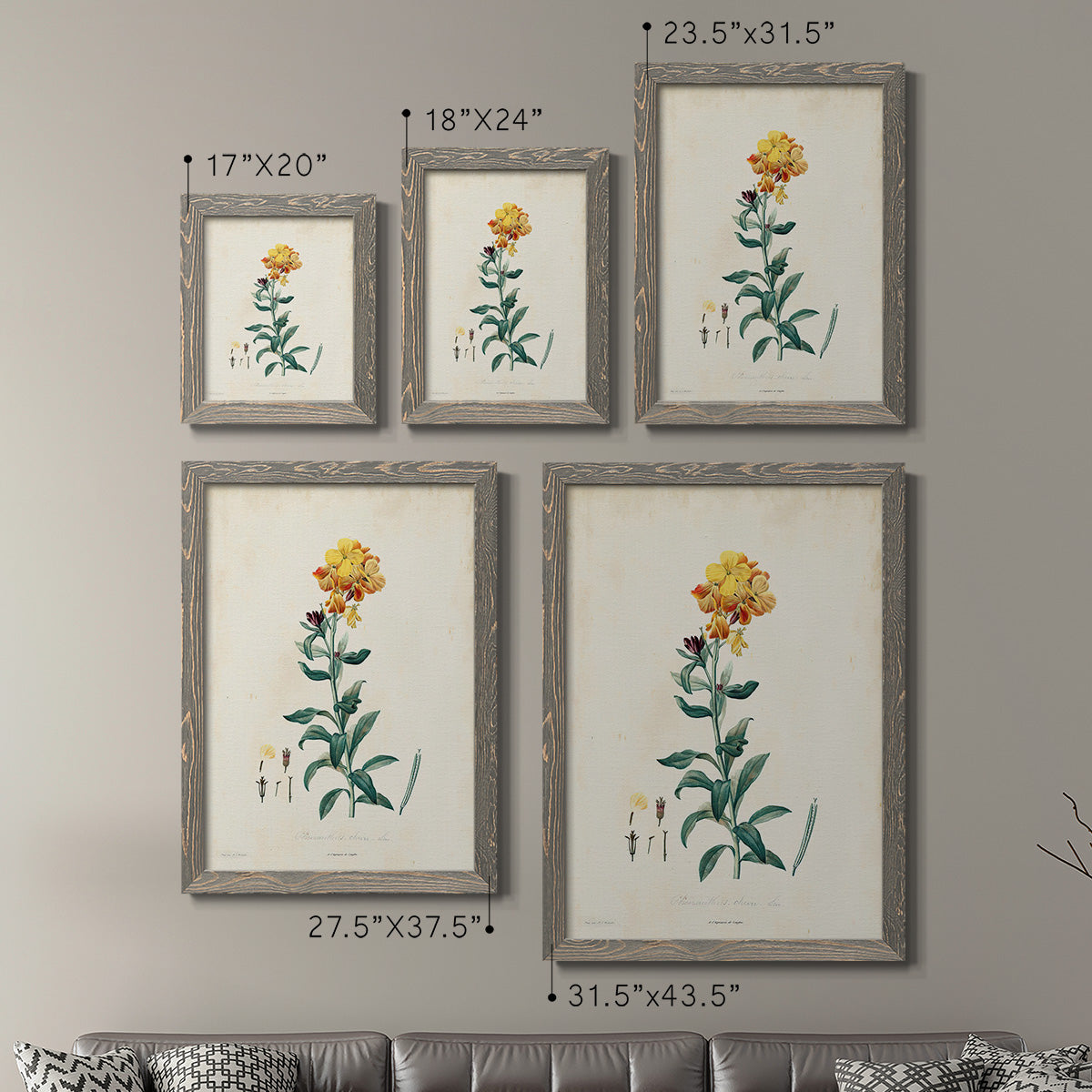 Traditional Botanical III - Premium Framed Canvas 2 Piece Set - Ready to Hang