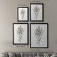Dainty Botanical III - Modern Framed Canvas Print