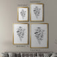 Farmhouse Plants II - Modern Framed Canvas Print
