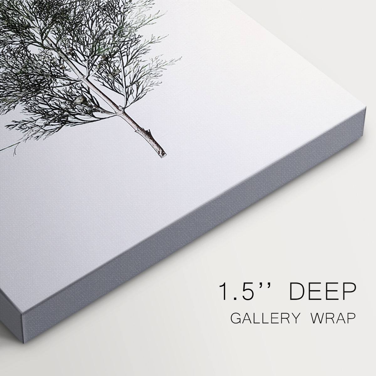 Silver Blessing of Pines - Canvas Art Print