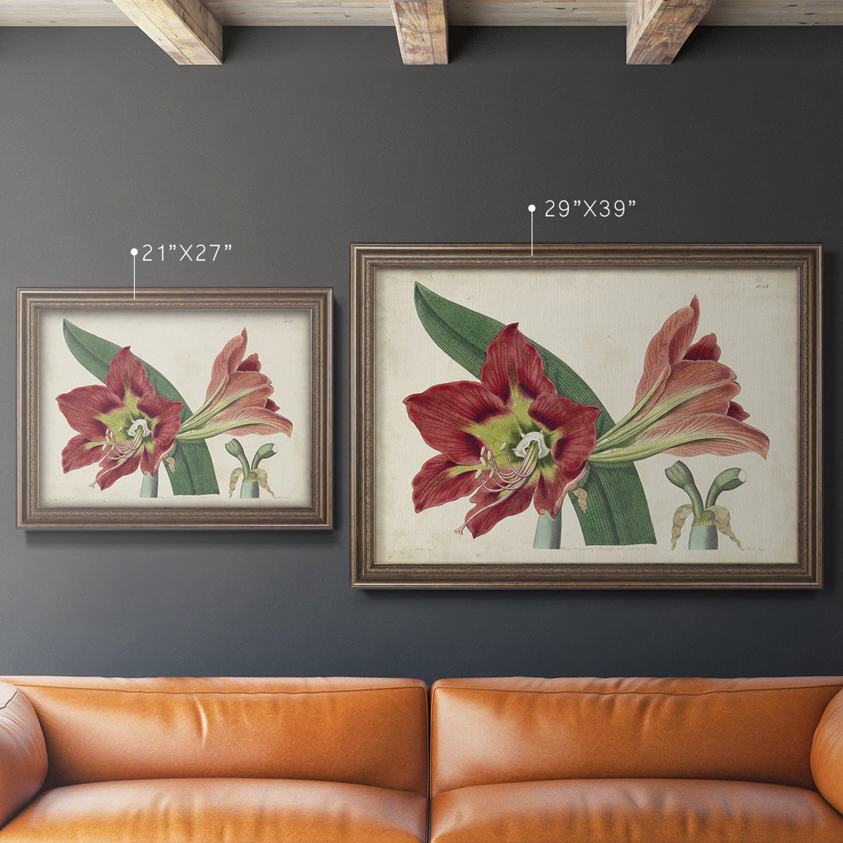 Amaryllis Splendor I Premium Framed Canvas- Ready to Hang