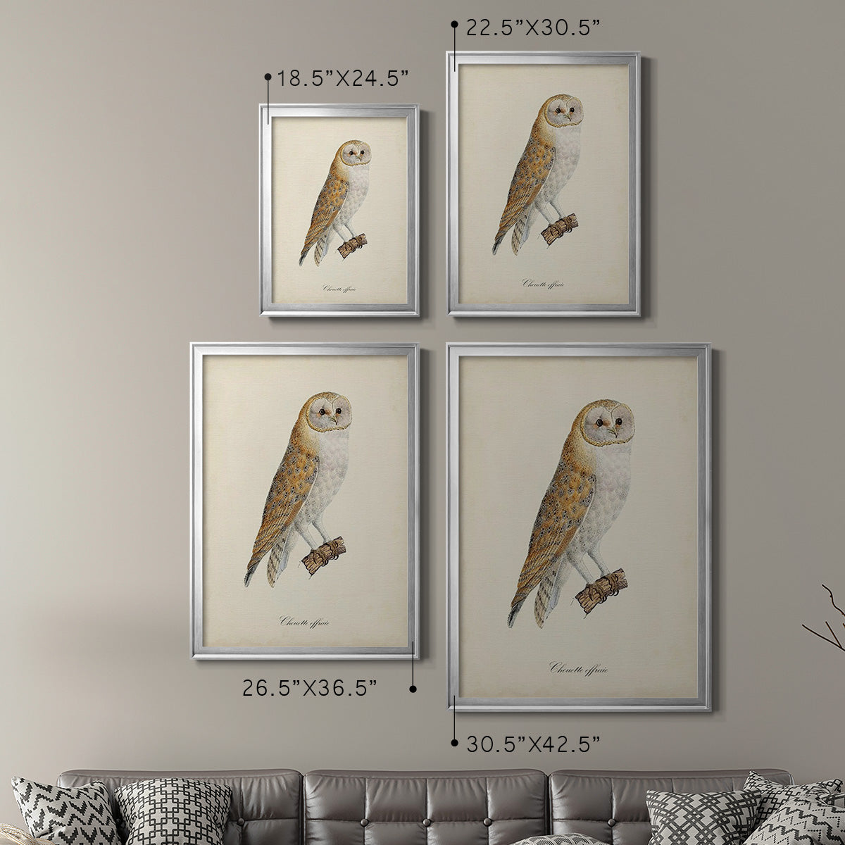 French Owls VI - Modern Framed Canvas Print