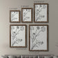 Botanical Study I   - Premium Framed Canvas 2 Piece Set - Ready to Hang