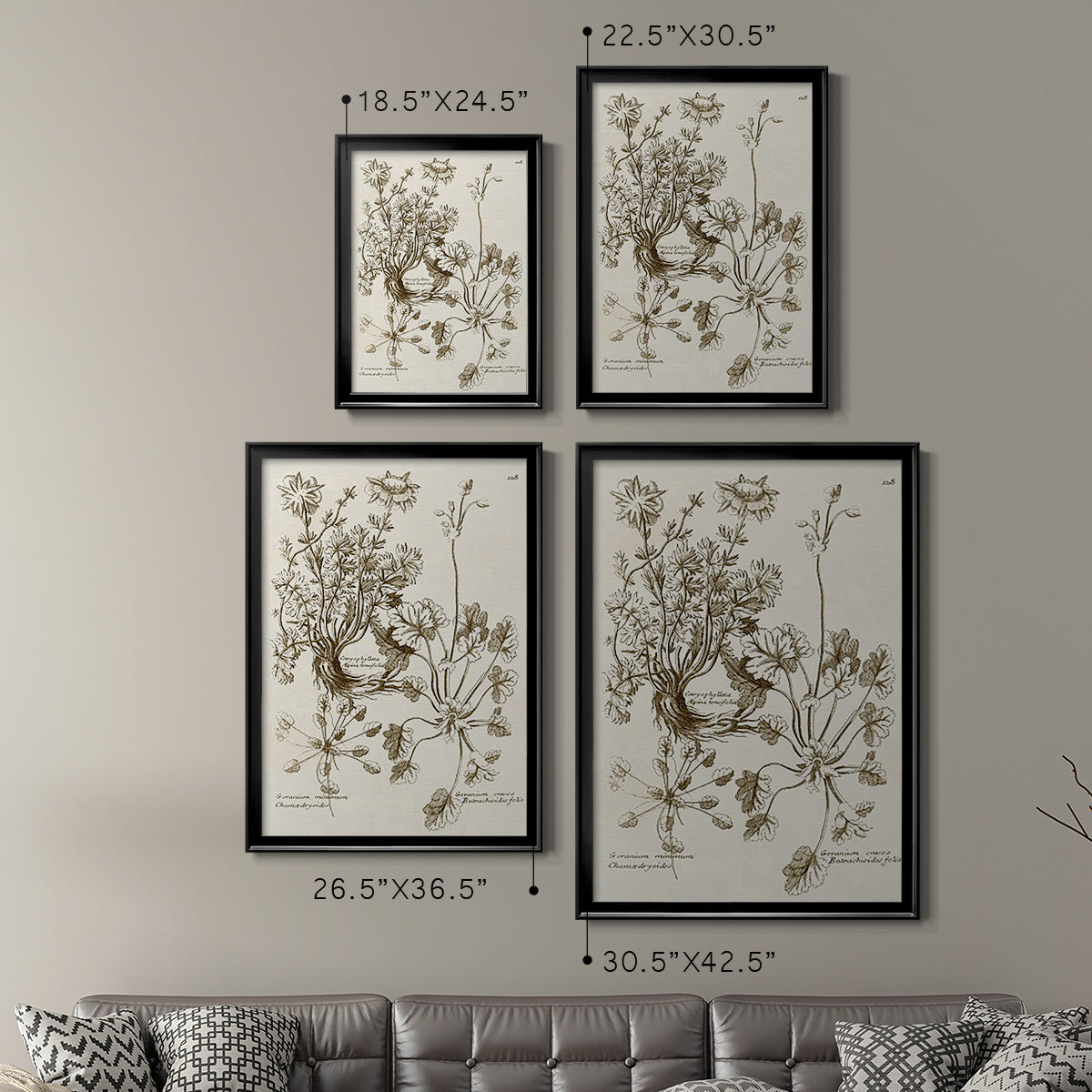Sepia Botanical Journal IX - Modern Framed Canvas Print