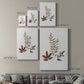 Autumn Leaves II Premium Gallery Wrapped Canvas - Ready to Hang