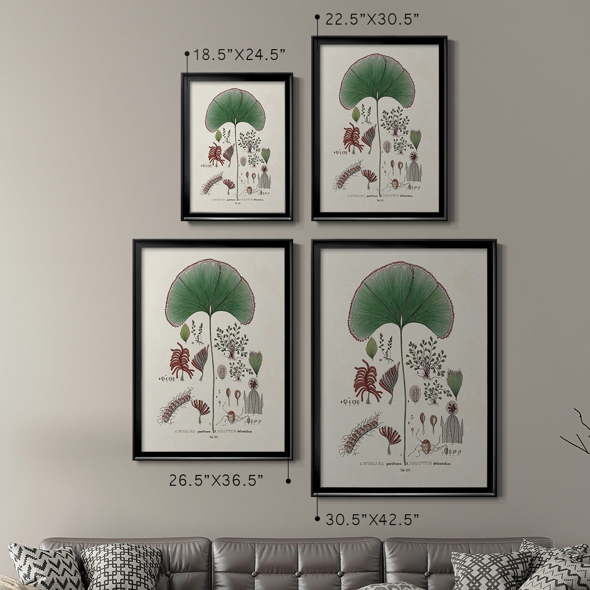 Botanical Society Ferns III - Modern Framed Canvas Print