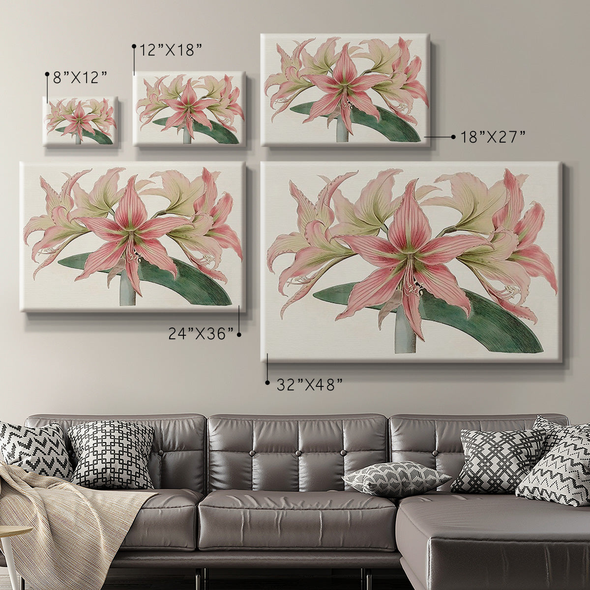 Amaryllis Varietals I Premium Gallery Wrapped Canvas - Ready to Hang