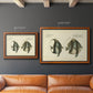 Bloch Antique Fish I Premium Framed Canvas- Ready to Hang