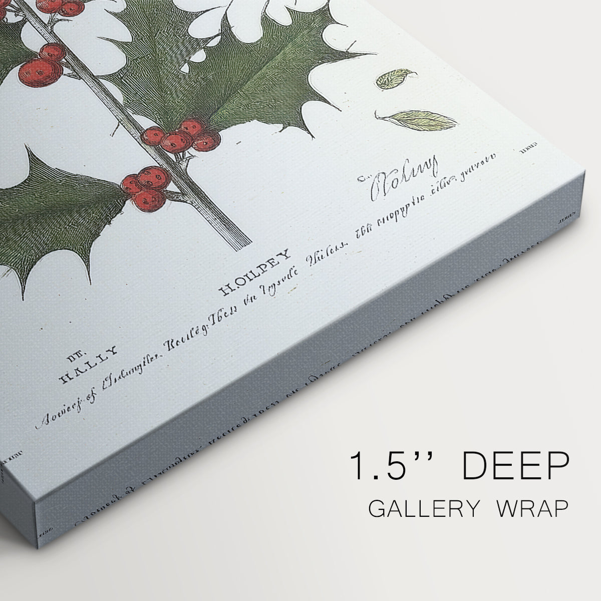 Silver Cottage Whisper - Canvas Art Print