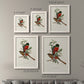 Elegant Trogons I - Premium Framed Canvas 2 Piece Set - Ready to Hang