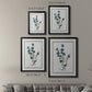 Soft Botanical I - Modern Framed Canvas Print