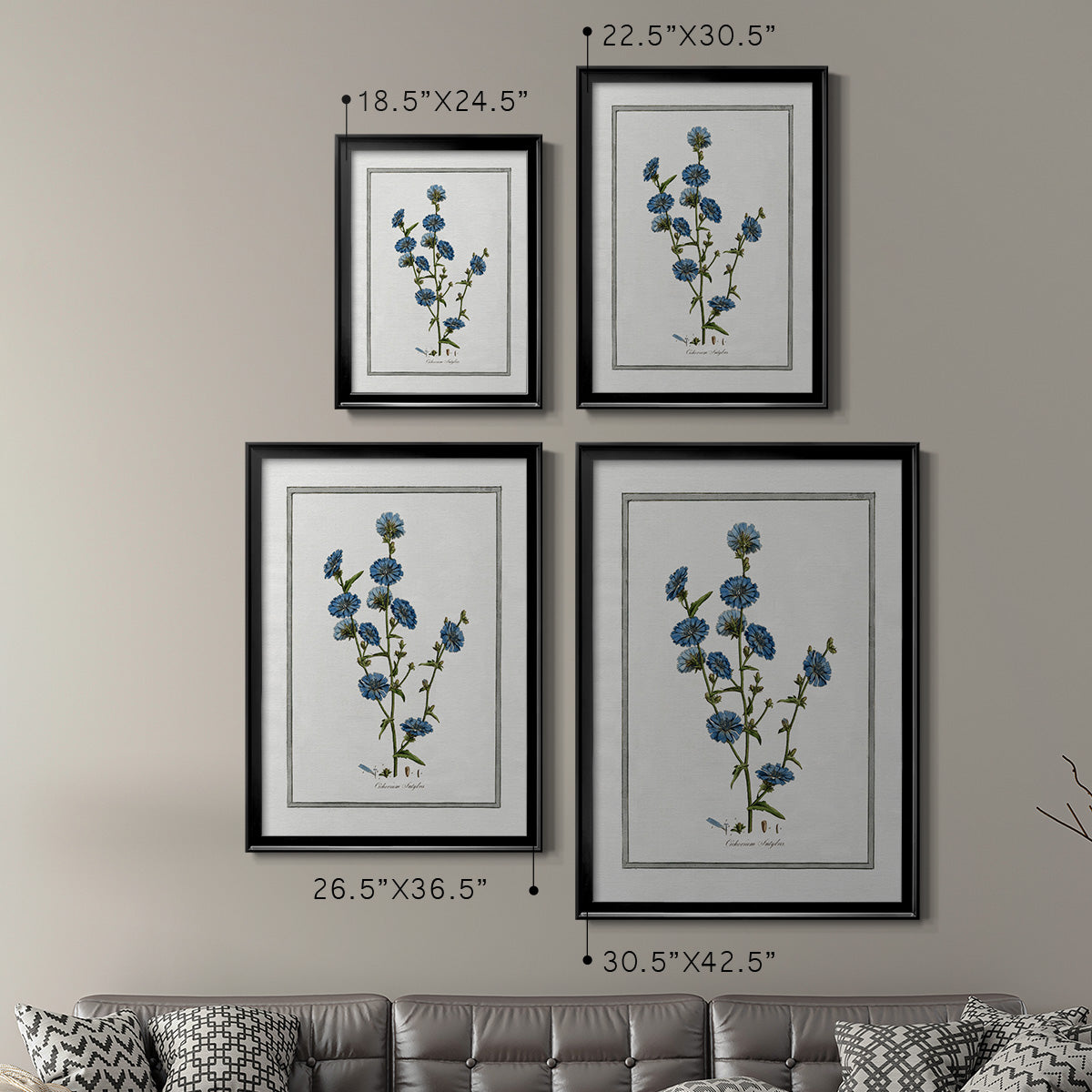 Soft Botanical I - Modern Framed Canvas Print