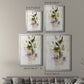 After Rain I - Modern Framed Canvas Print