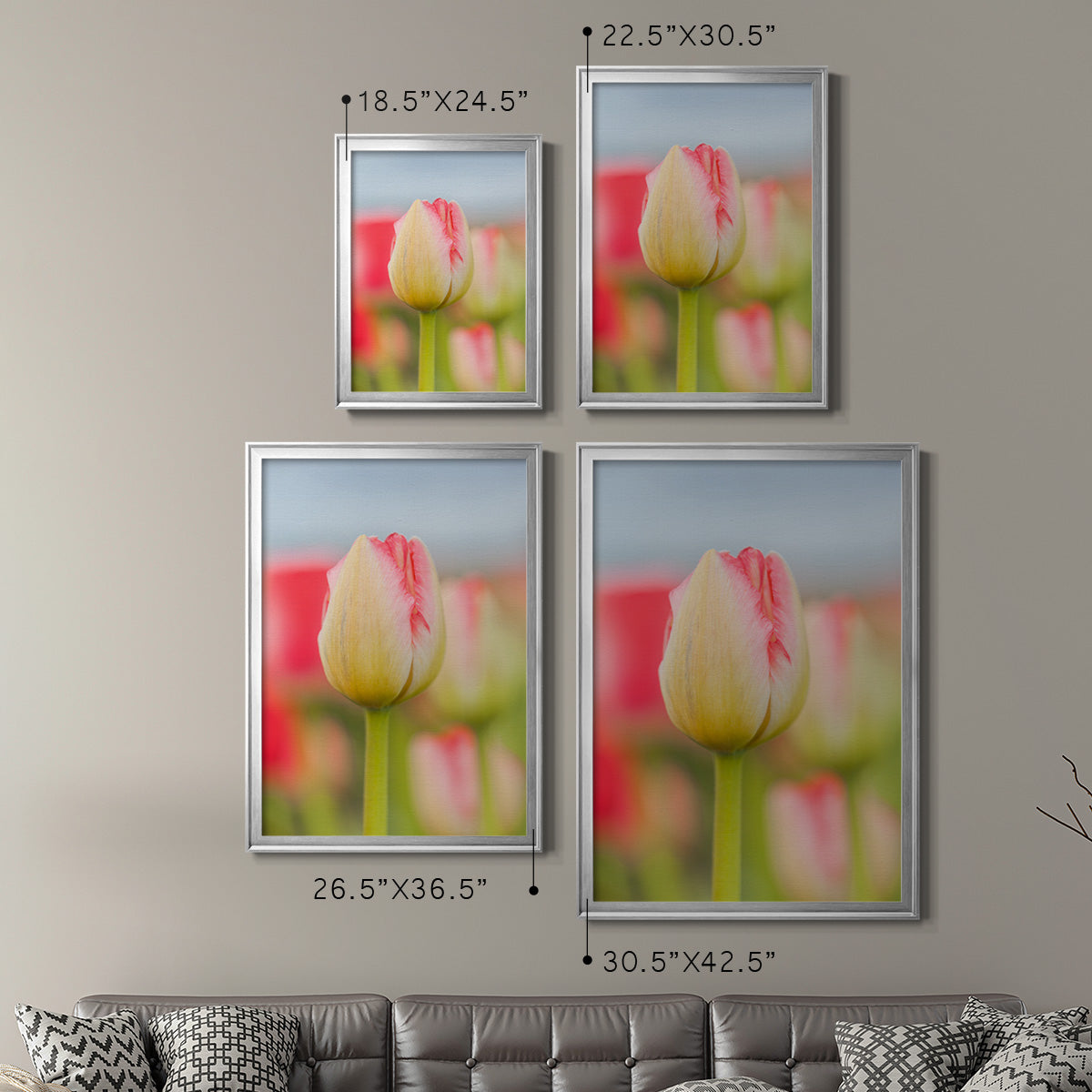 Twotone Tulip - Modern Framed Canvas Print