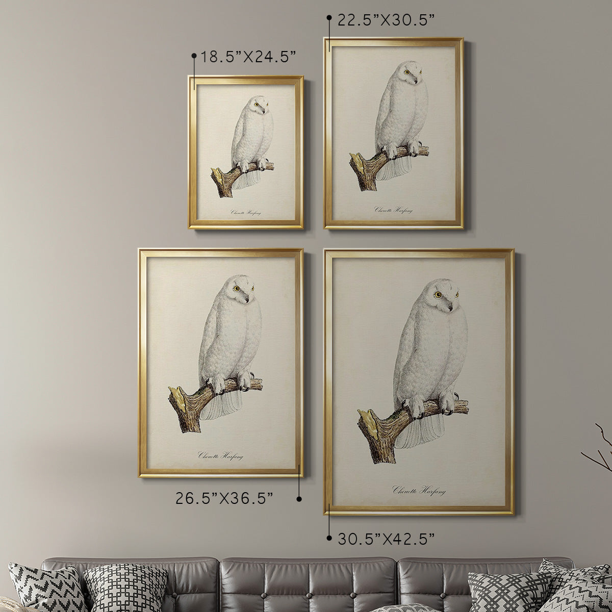 French Owls IV - Modern Framed Canvas Print