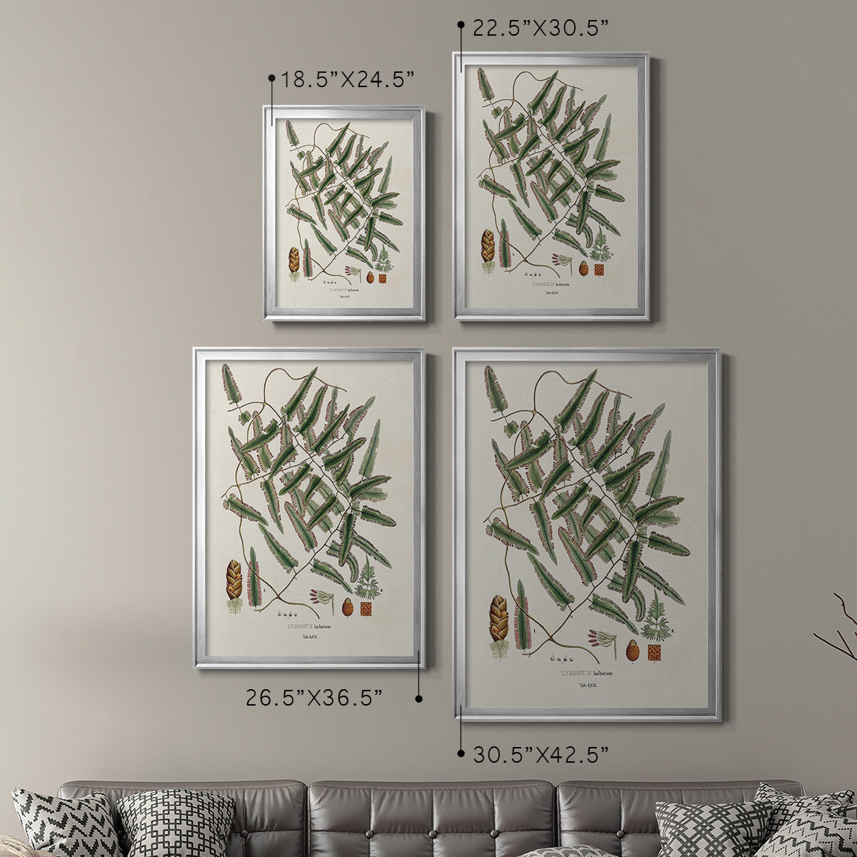 Botanical Society Ferns X - Modern Framed Canvas Print