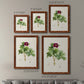 Size comparison chart for a set of two maple barnwood framed canvas prints.