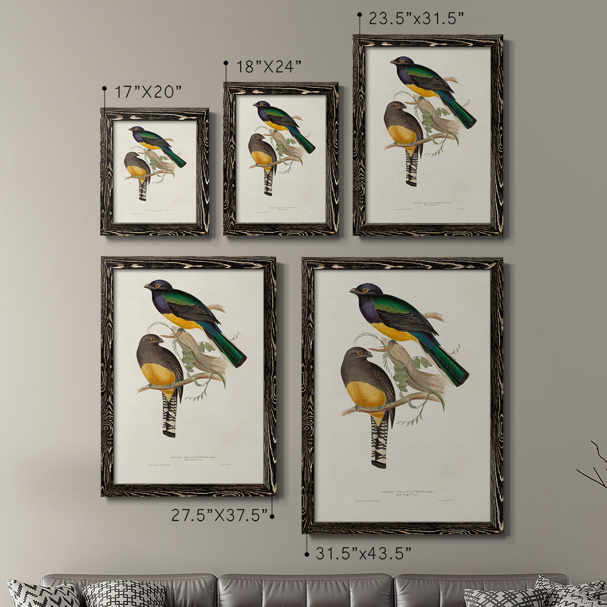 Elegant Trogons III - Premium Framed Canvas 2 Piece Set - Ready to Hang