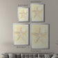 Salty Seashell I - Modern Framed Canvas Print